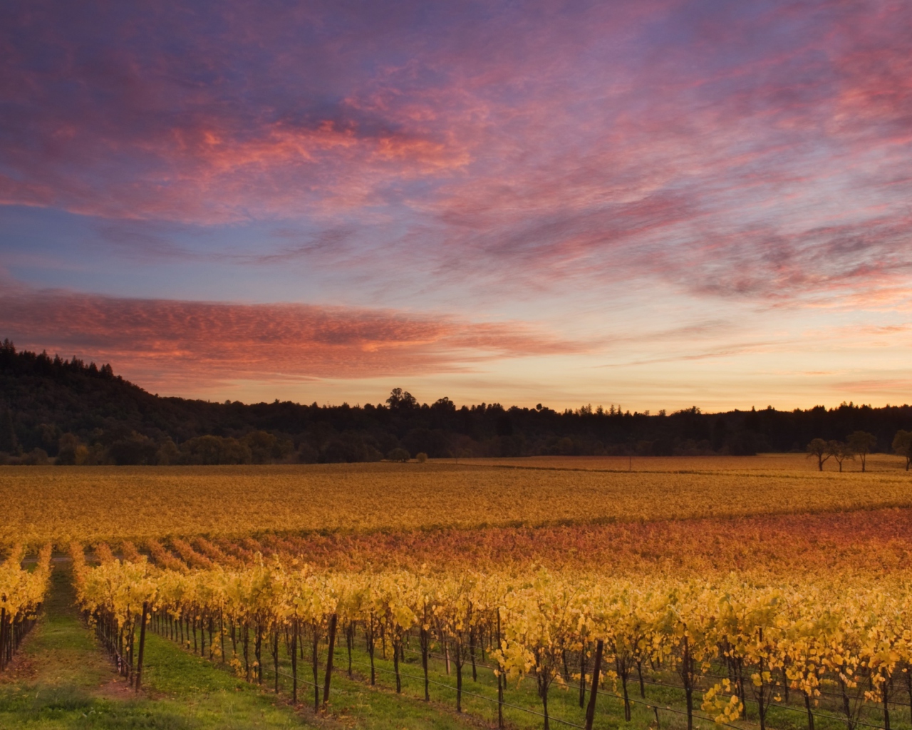 Screenshot №1 pro téma Russian River Valley California 1280x1024