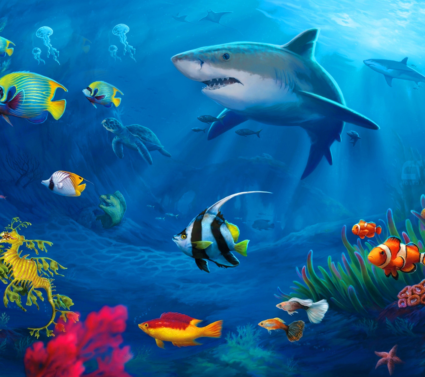 Shark in Perth, Western Australia wallpaper 1440x1280