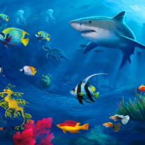 Screenshot №1 pro téma Shark in Perth, Western Australia 208x208
