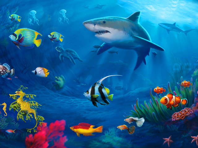 Shark in Perth, Western Australia wallpaper 640x480