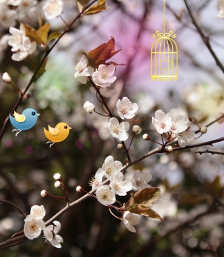 Welcome Spring - Obrázkek zdarma pro iPhone 4
