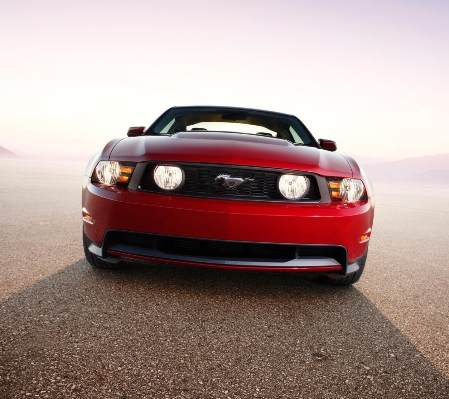 Screenshot №1 pro téma Ford Mustang 1440x1280