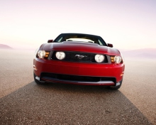 Screenshot №1 pro téma Ford Mustang 220x176