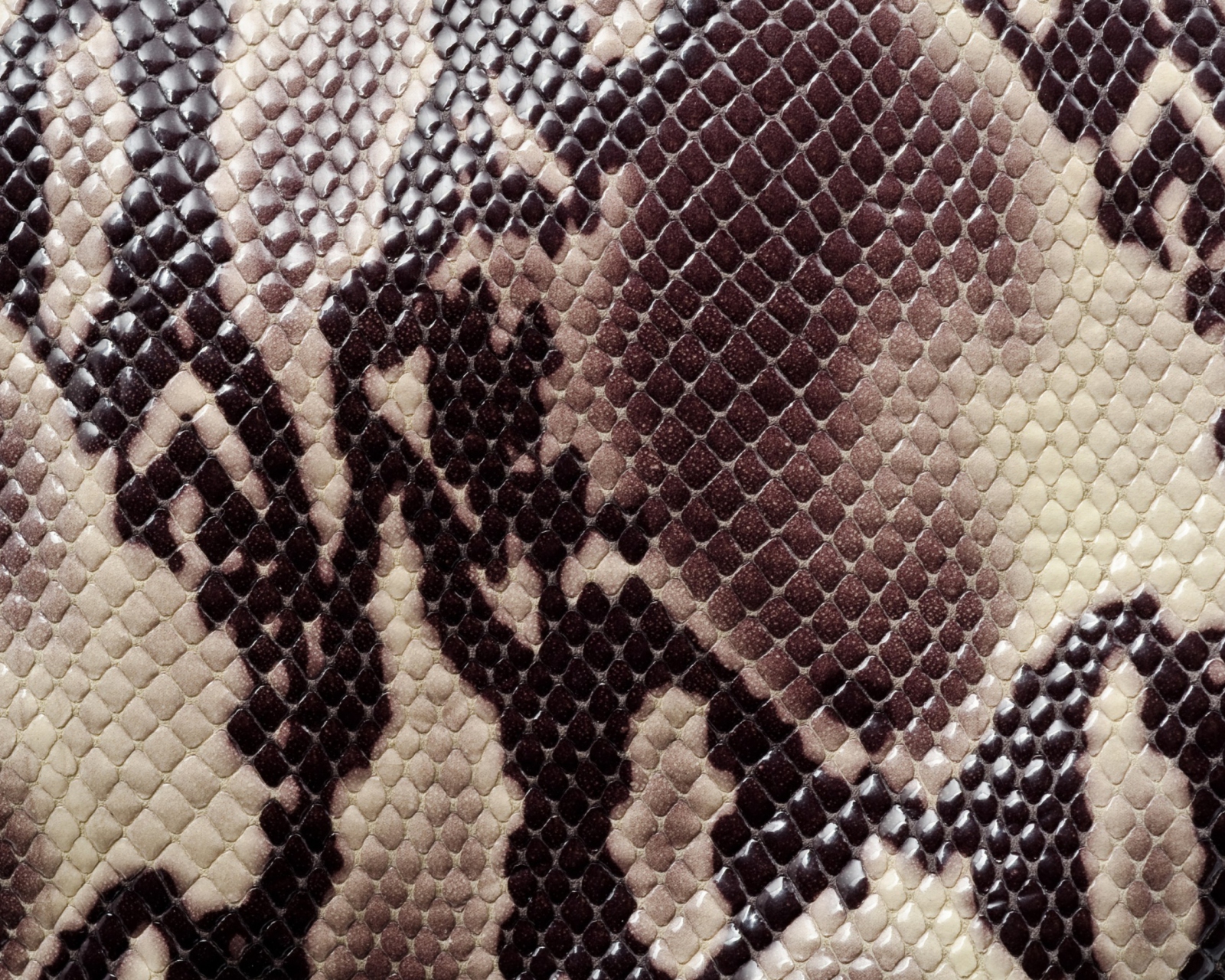 Das Snake Skin Wallpaper 1600x1280
