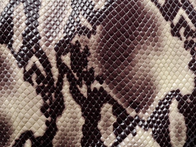 Das Snake Skin Wallpaper 640x480