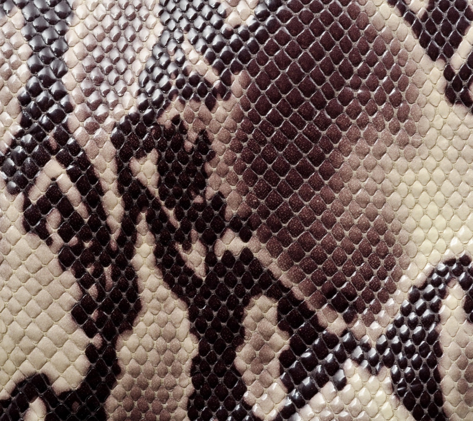 Das Snake Skin Wallpaper 960x854