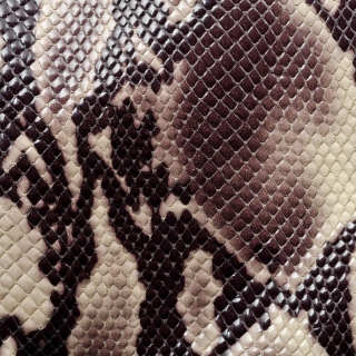 Kostenloses Snake Skin Wallpaper für 2048x2048