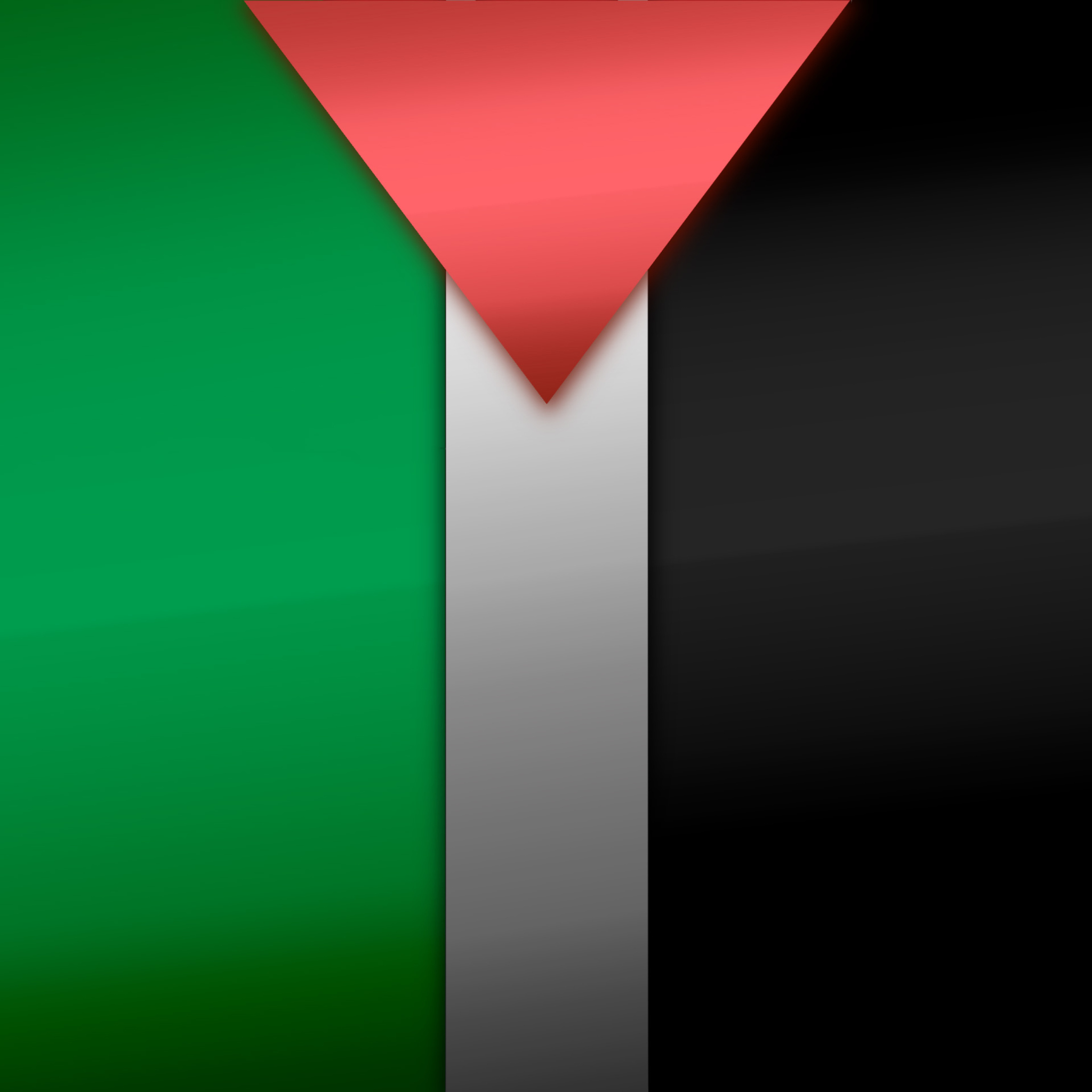 Screenshot №1 pro téma Palestinian flag 2048x2048