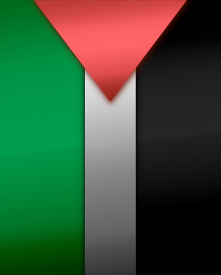 Palestinian flag - Obrázkek zdarma pro Nokia Asha 300