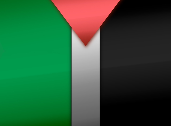 Screenshot №1 pro téma Palestinian flag