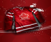 Screenshot №1 pro téma NHL - Team from Canada 176x144