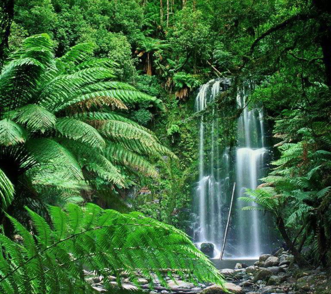 Fondo de pantalla Tropical Forest Waterfall 1080x960