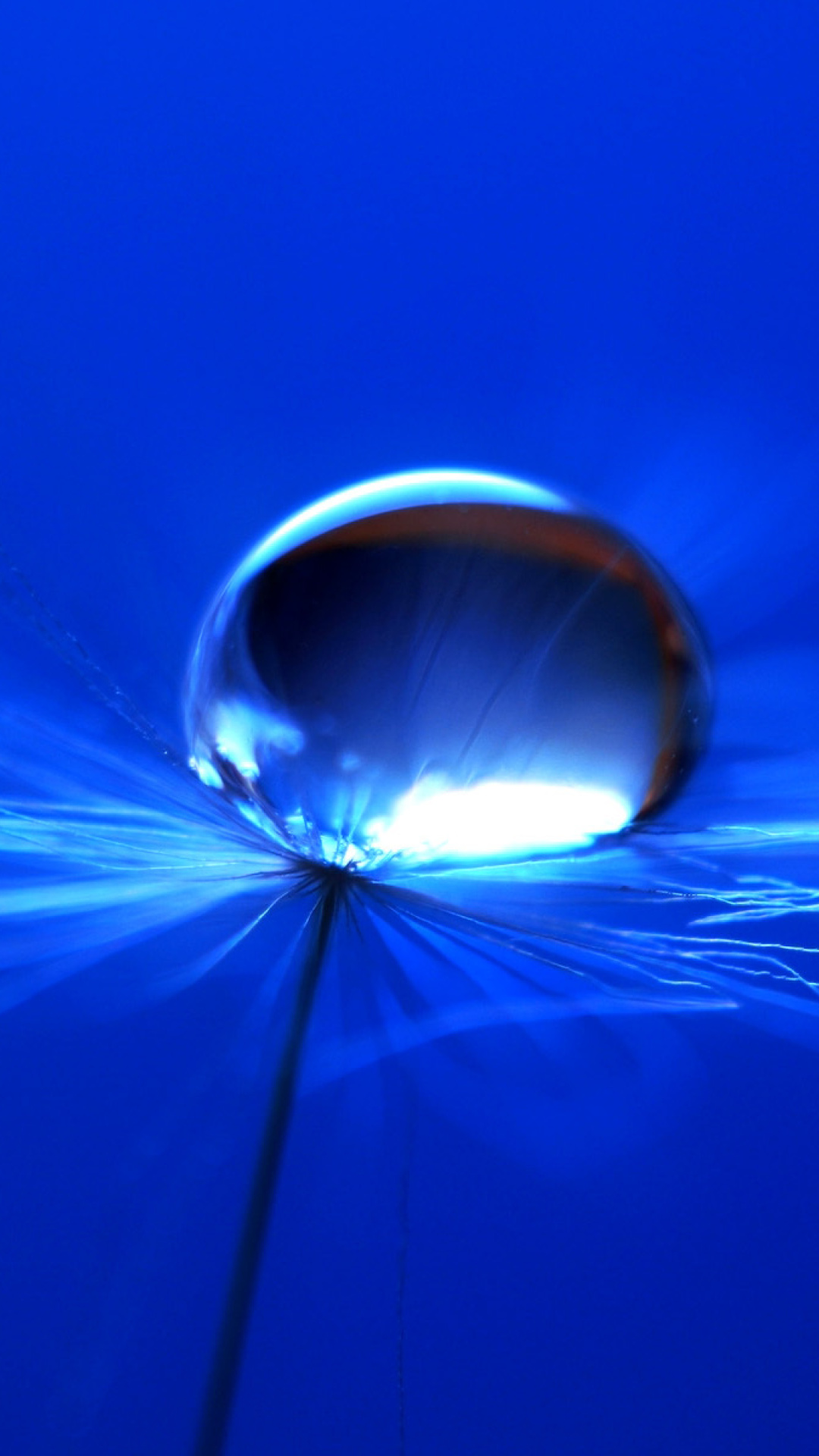 Обои Macro Blue Drop HD 1080x1920