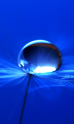 Macro Blue Drop HD screenshot #1 240x400