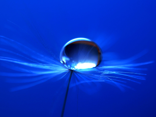 Das Macro Blue Drop HD Wallpaper 640x480