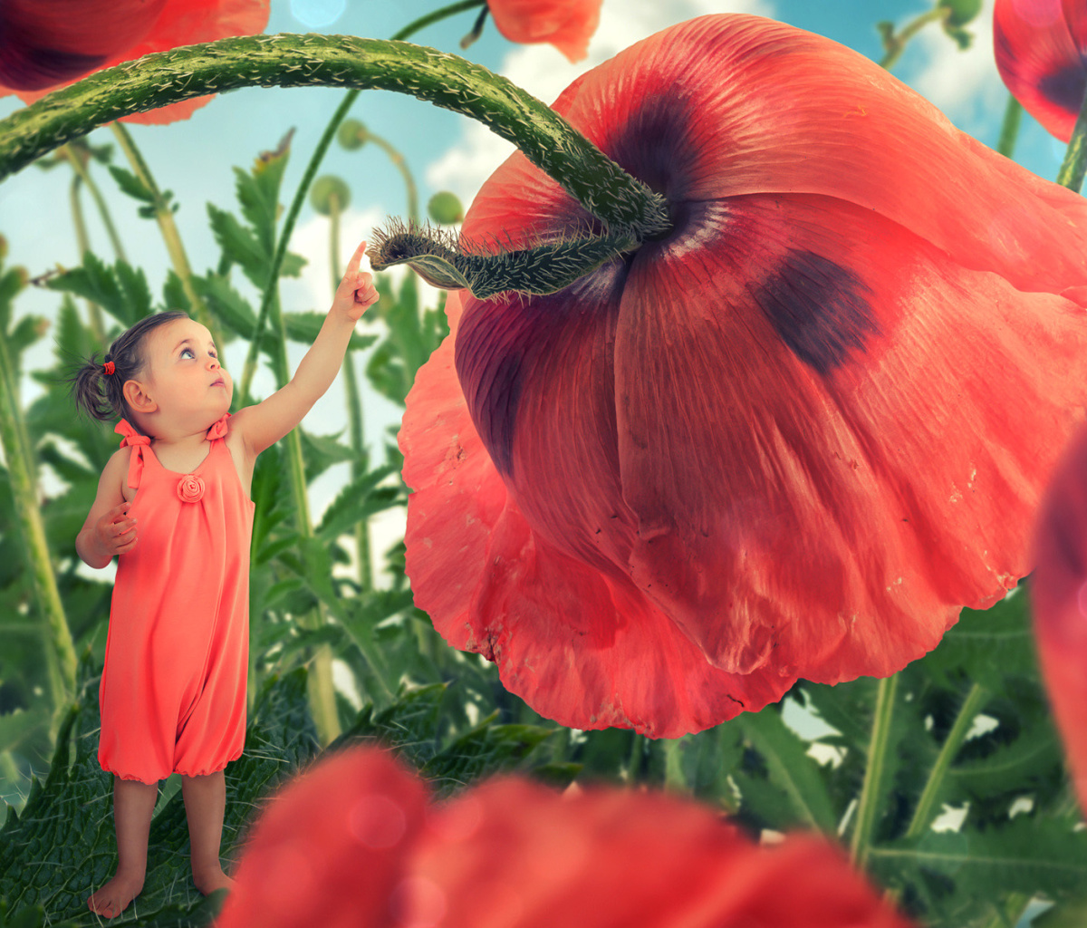 Обои Little kid on poppy flower 1200x1024