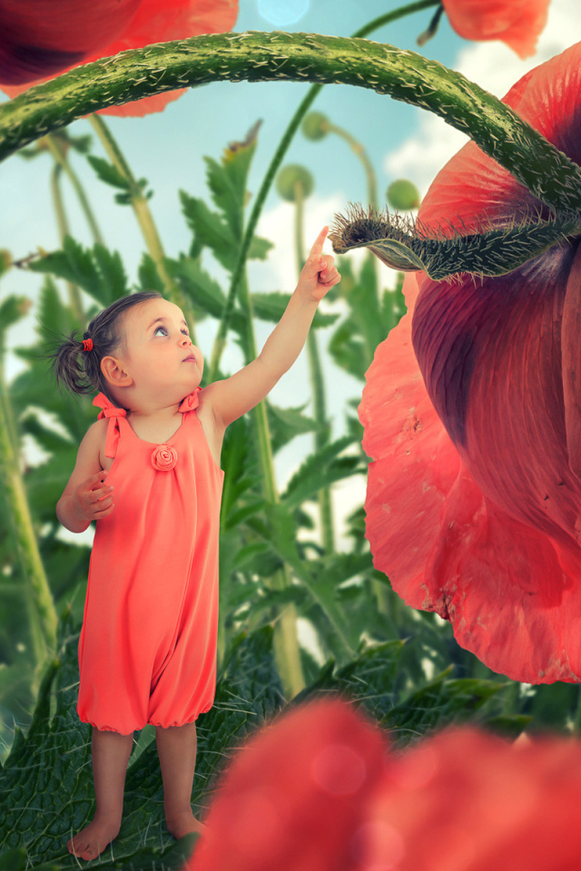 Fondo de pantalla Little kid on poppy flower 640x960