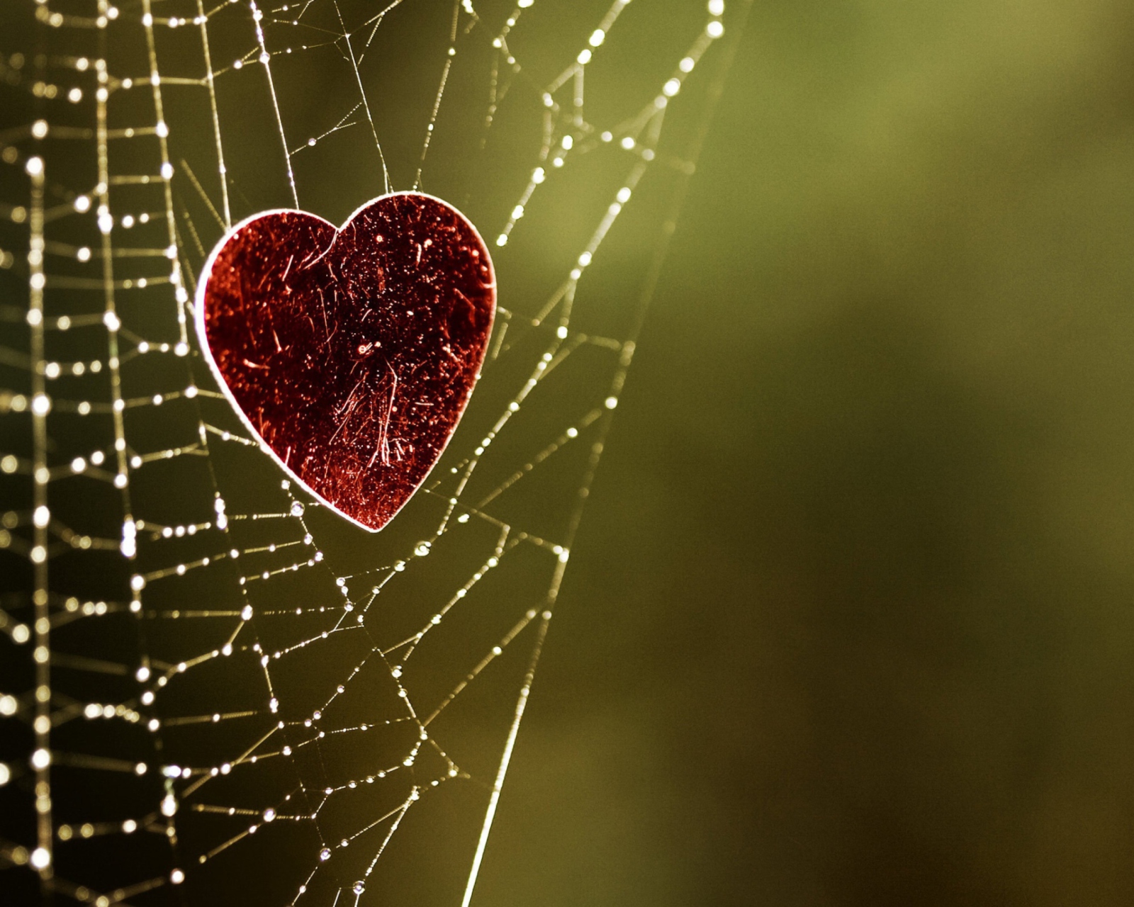 Das Heart In Spider Web Wallpaper 1600x1280
