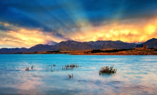 Free New Zealand Picture for Android, iPhone and iPad