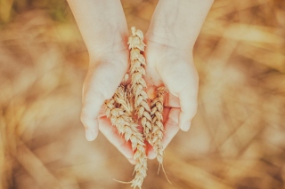 Nature In Hands - Obrázkek zdarma pro Android 600x1024