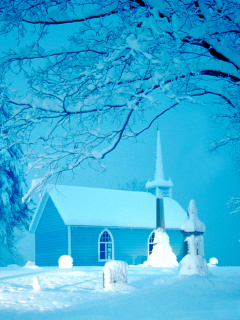 Screenshot №1 pro téma Winter Church and Chapel 240x320