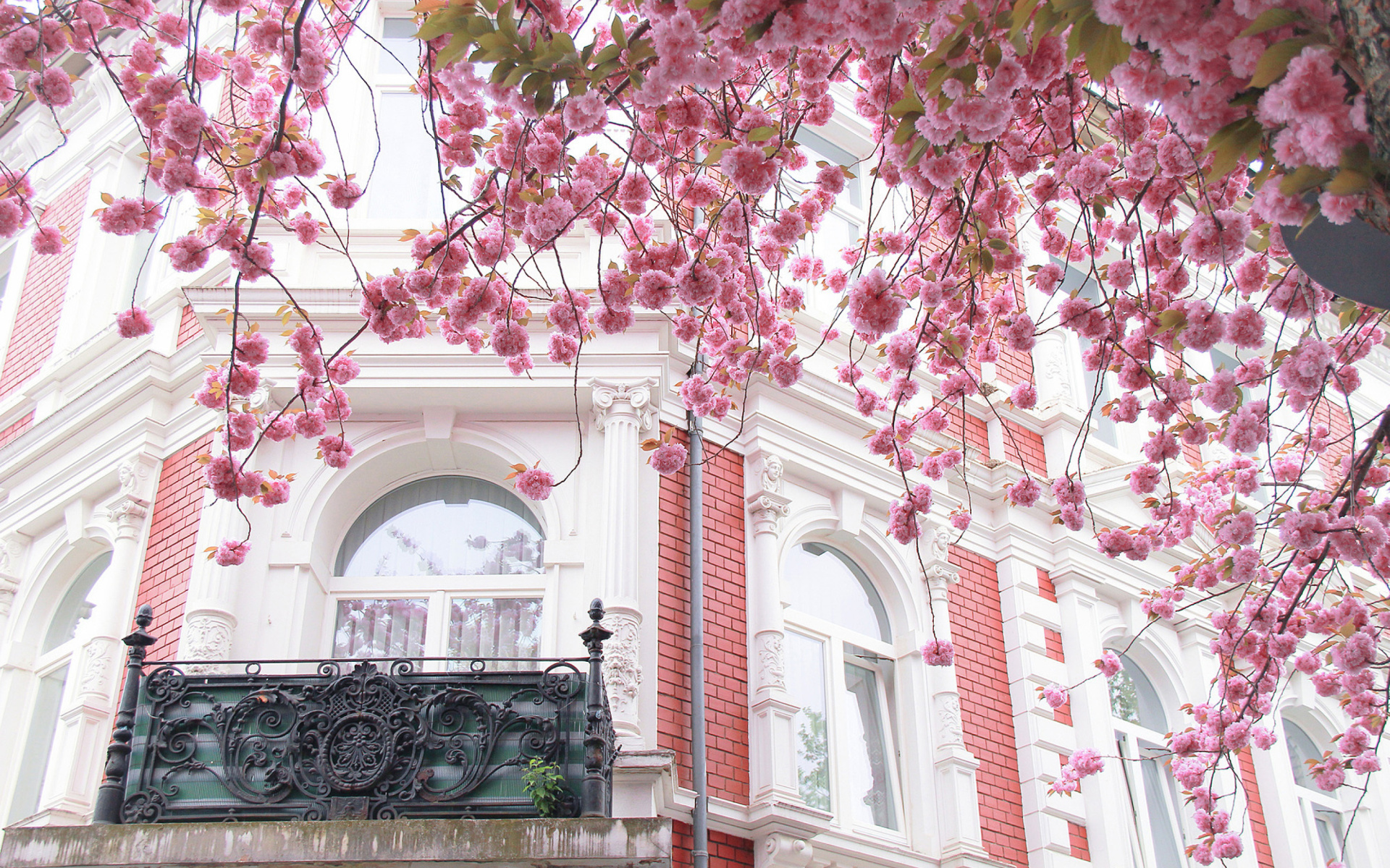 Sfondi Spring Paris 1920x1200