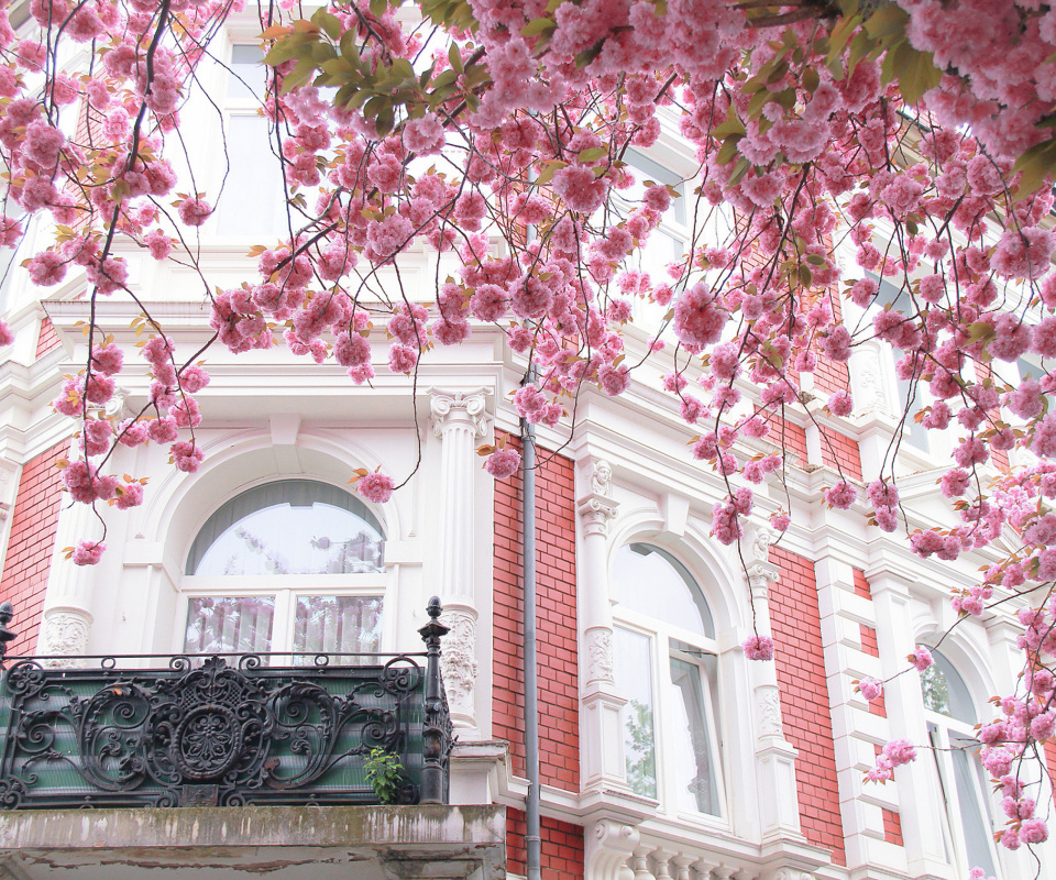 Spring Paris screenshot #1 960x800