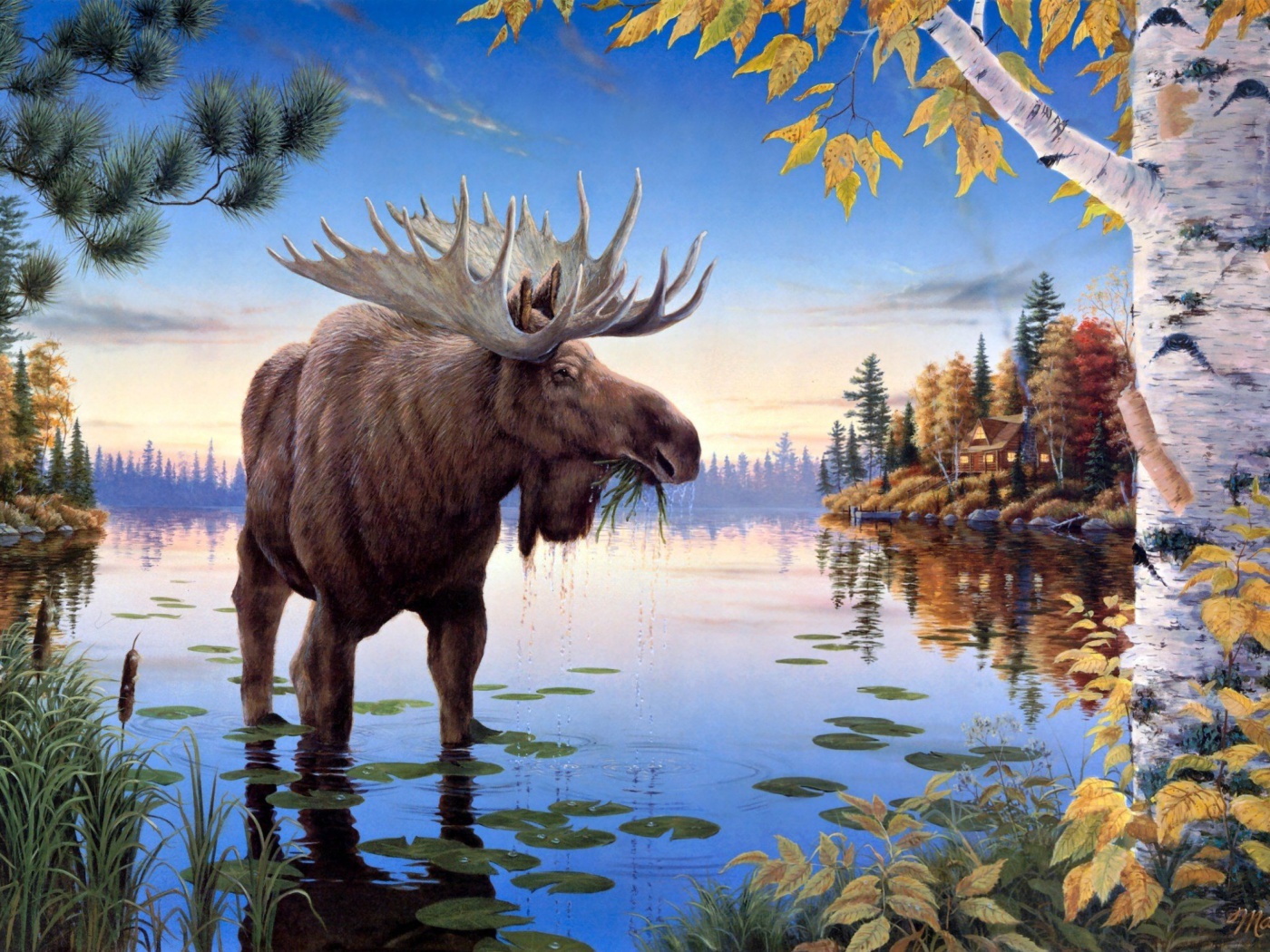 Elk wallpaper 1400x1050