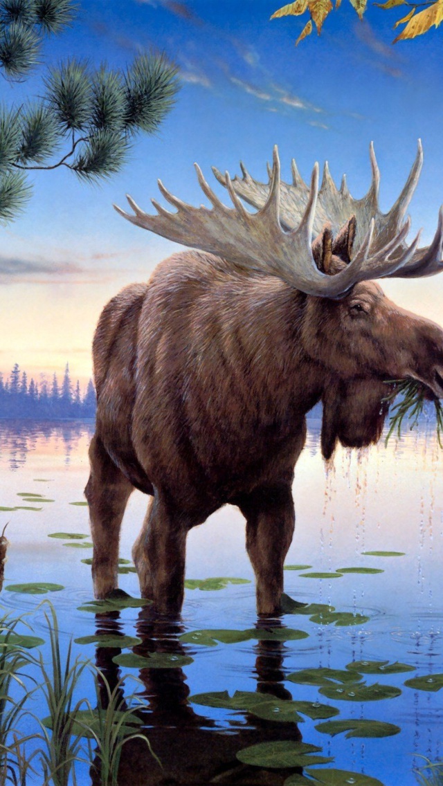 Das Elk Wallpaper 640x1136