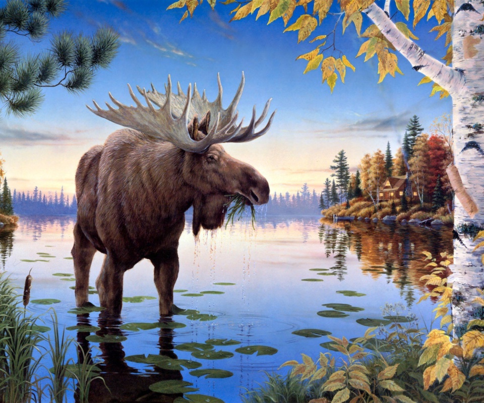 Das Elk Wallpaper 960x800