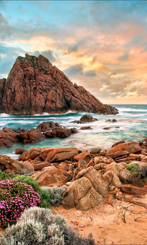 Amazing Tropical Seascape wallpaper 480x800