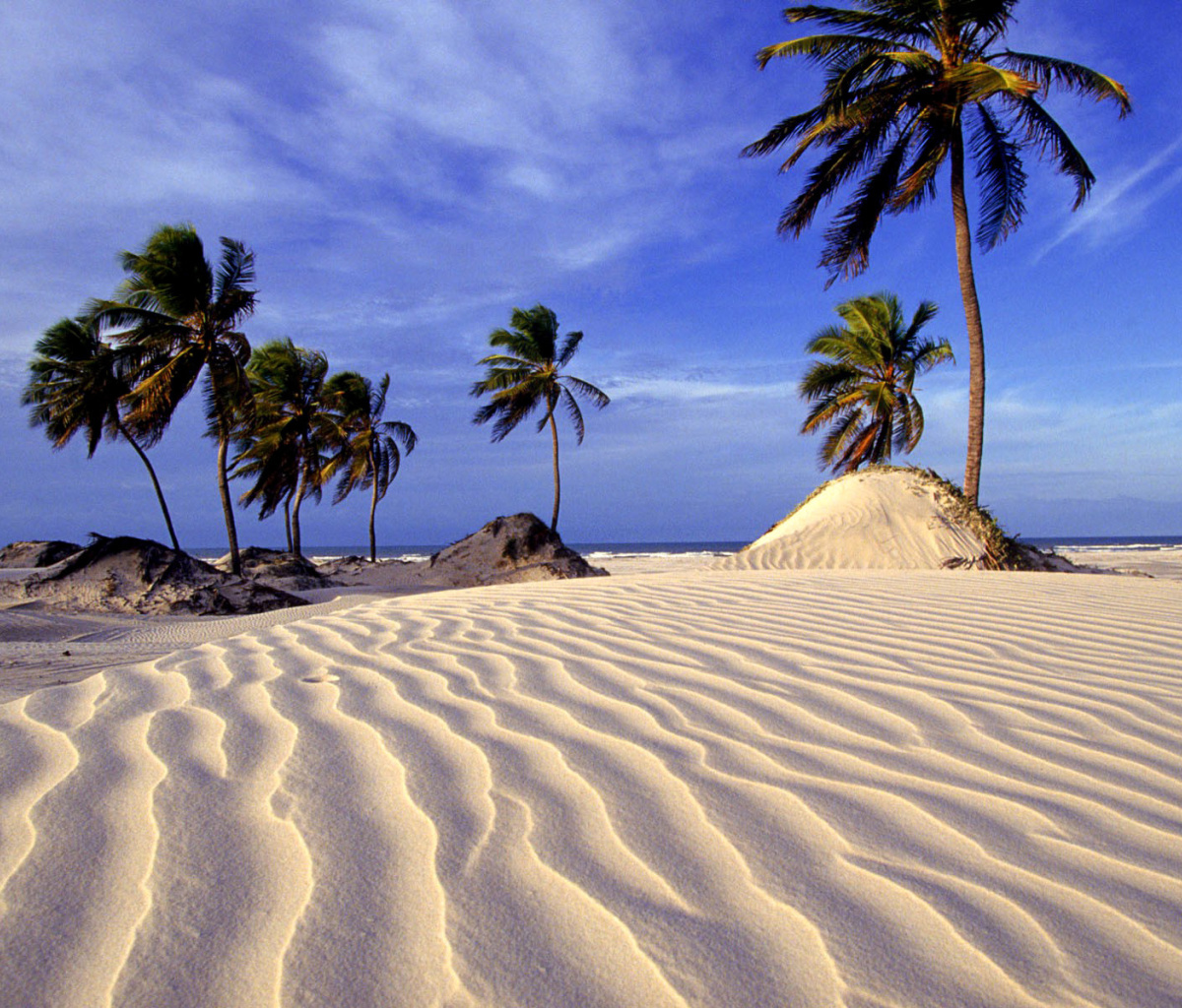 Обои Bahia Beach Resorts Puerto Rico 1200x1024