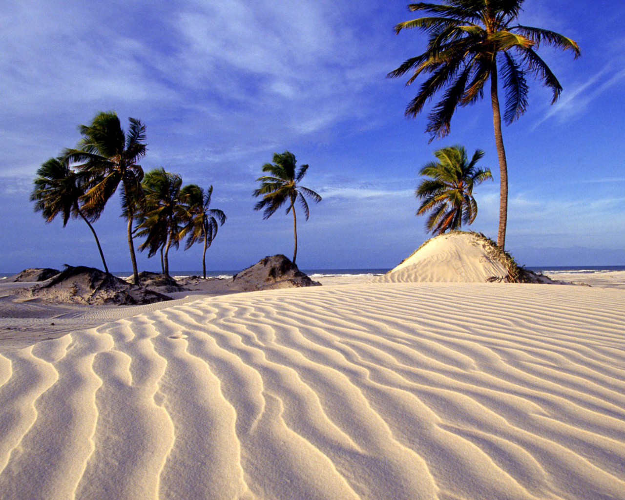 Bahia Beach Resorts Puerto Rico screenshot #1 1280x1024