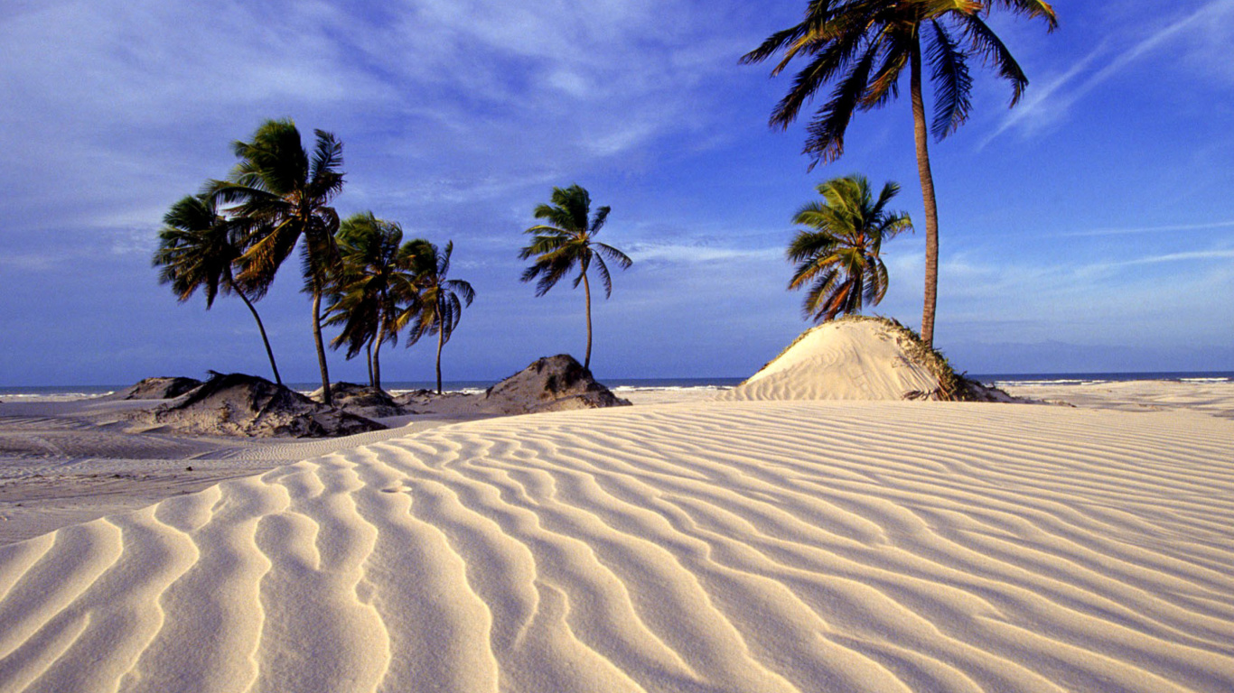 Fondo de pantalla Bahia Beach Resorts Puerto Rico 1366x768