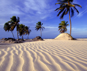 Bahia Beach Resorts Puerto Rico screenshot #1 176x144