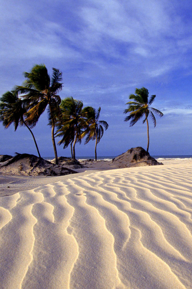 Sfondi Bahia Beach Resorts Puerto Rico 640x960