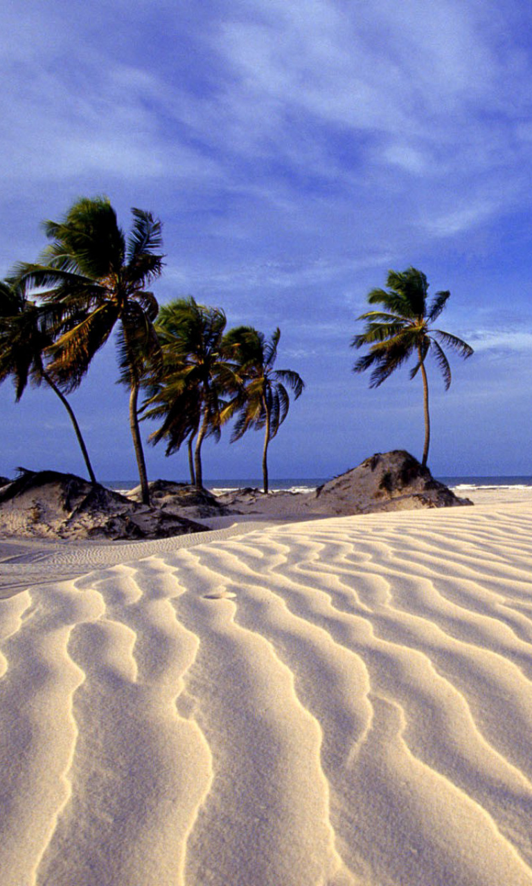 Обои Bahia Beach Resorts Puerto Rico 768x1280