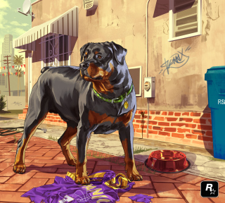 Kostenloses Grand Theft Auto V Dog Wallpaper für 1024x1024