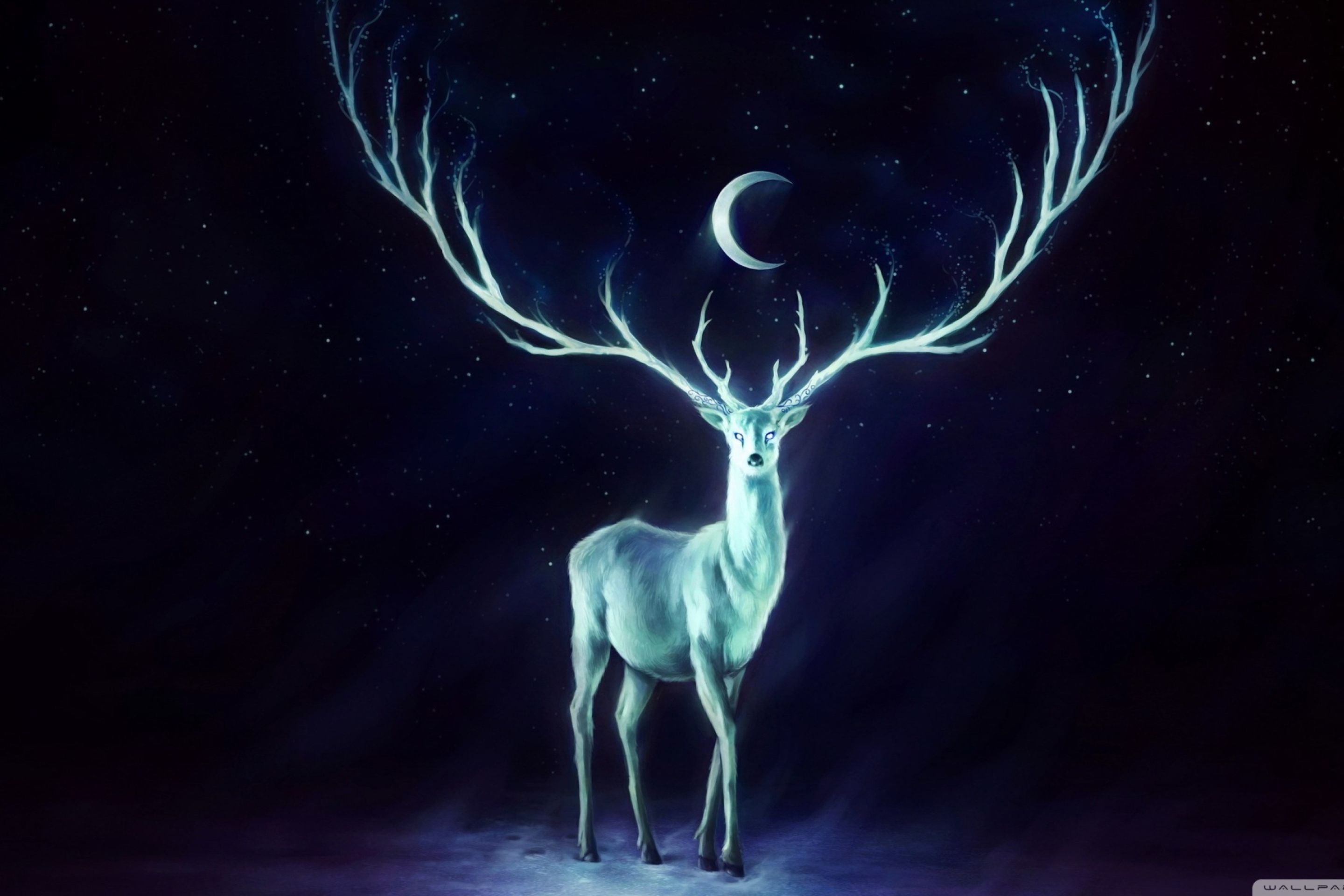 Обои Magic Deer Painting 2880x1920