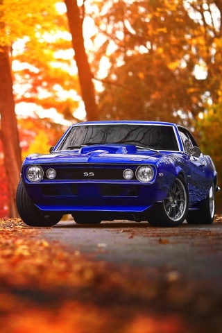 Screenshot №1 pro téma Chevrolet Camaro SS Blue 320x480