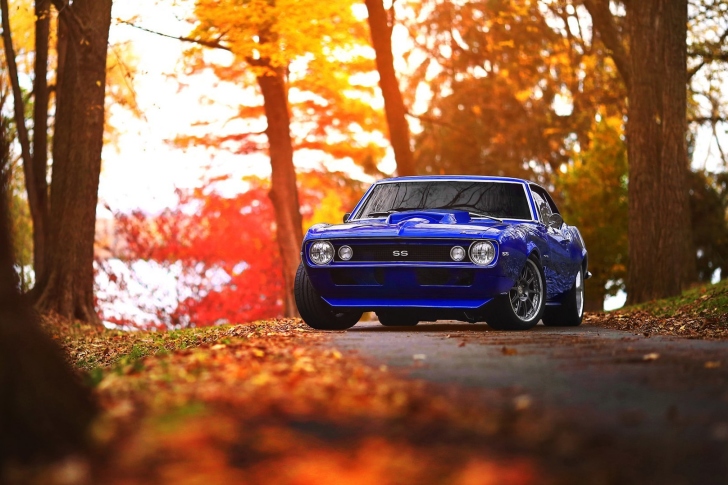 Das Chevrolet Camaro SS Blue Wallpaper