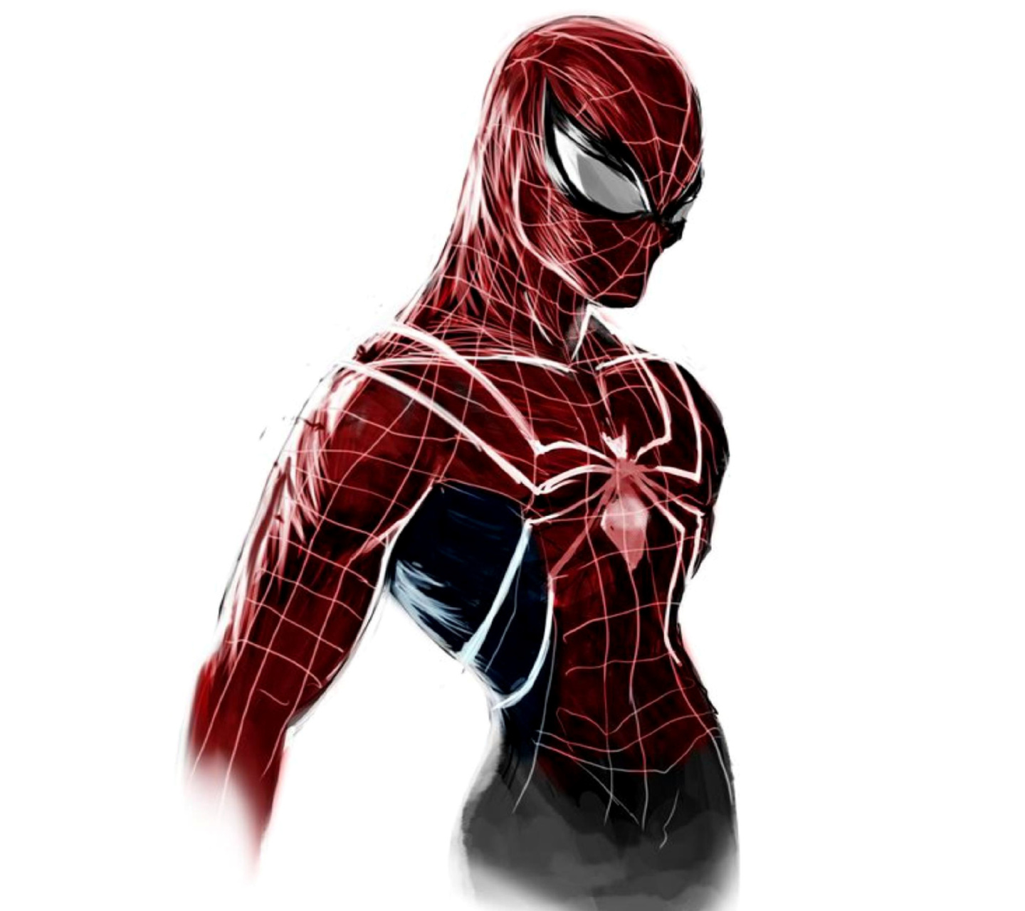 Обои Spiderman Poster 1440x1280