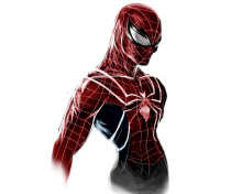 Screenshot №1 pro téma Spiderman Poster 220x176