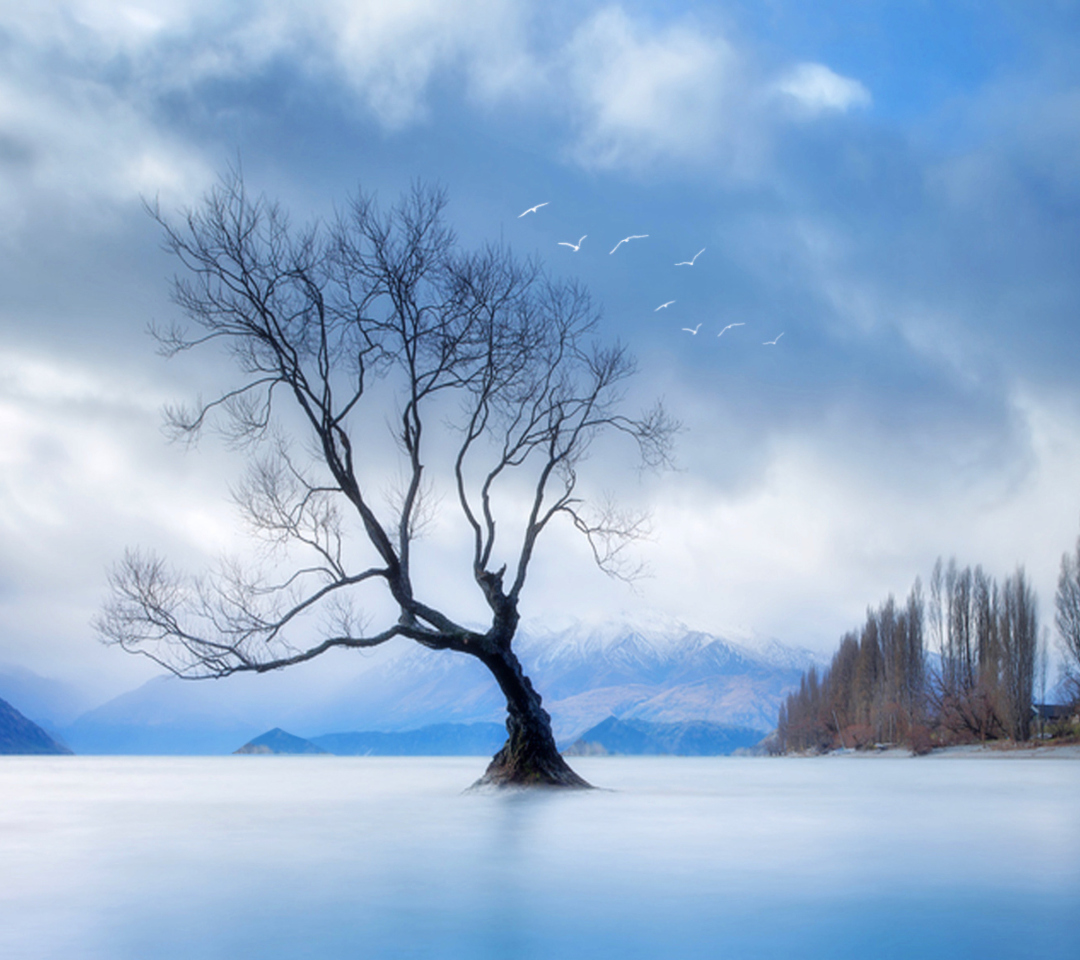 Lonely Tree At Blue Landscape wallpaper 1080x960