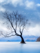 Screenshot №1 pro téma Lonely Tree At Blue Landscape 132x176