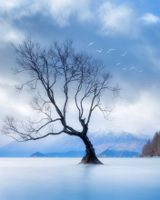 Das Lonely Tree At Blue Landscape Wallpaper 176x220