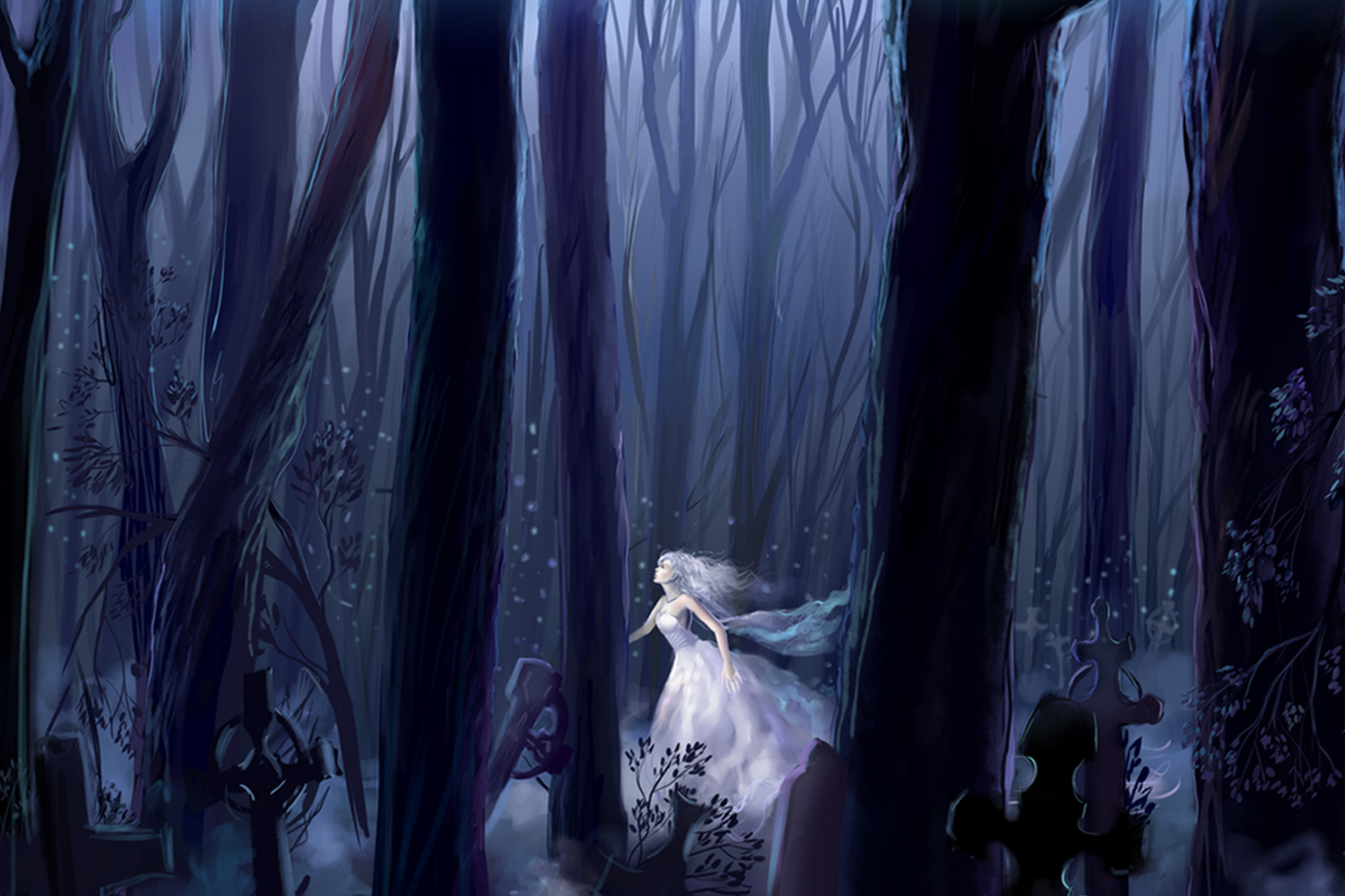Screenshot №1 pro téma White Princess In Dark Forest 2880x1920