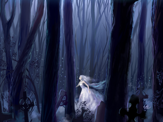 Das White Princess In Dark Forest Wallpaper 640x480