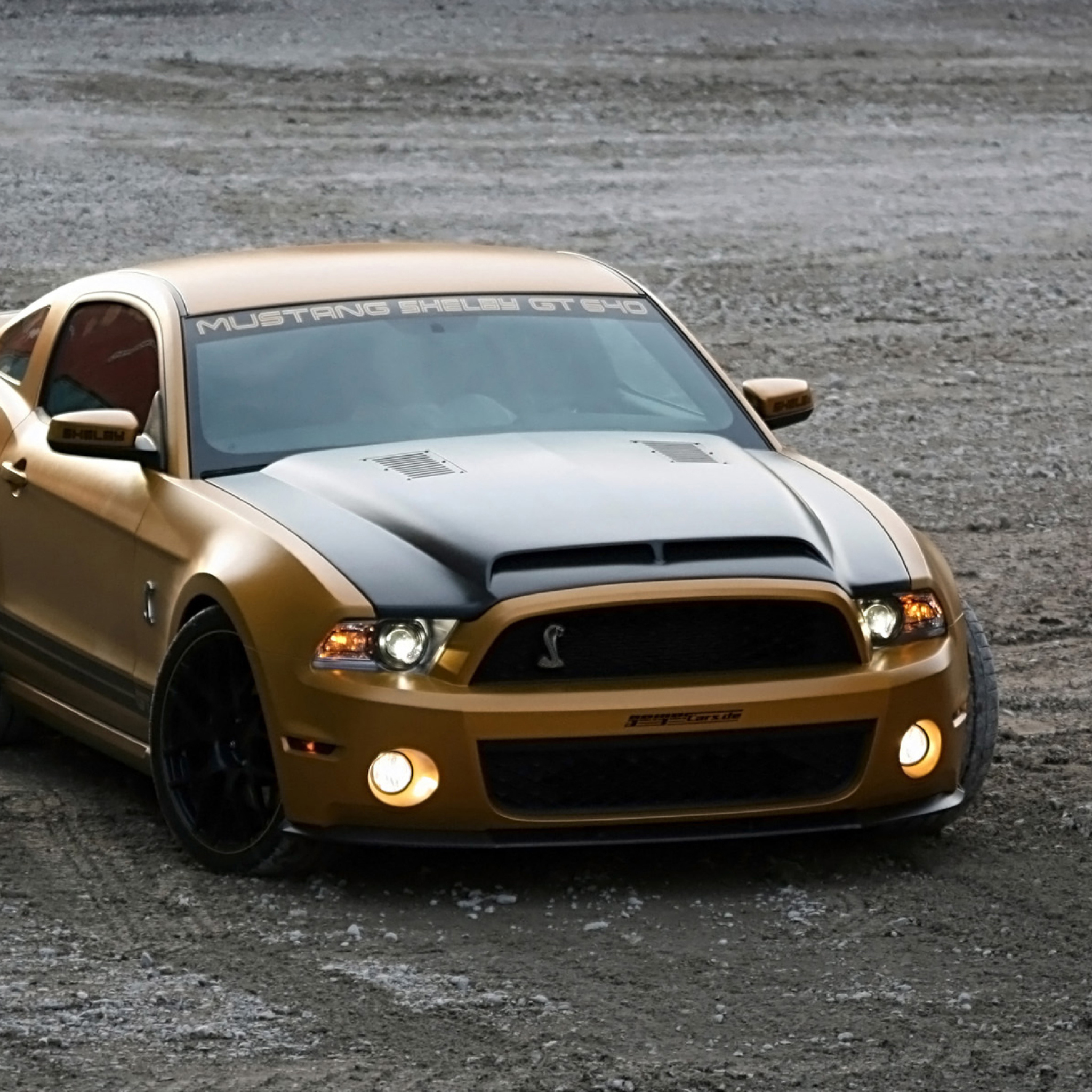 Screenshot №1 pro téma Ford Mustang Shelby GT640 2048x2048