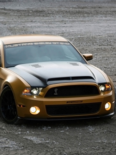 Das Ford Mustang Shelby GT640 Wallpaper 240x320